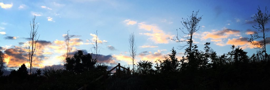 Whispy01's profile banner image