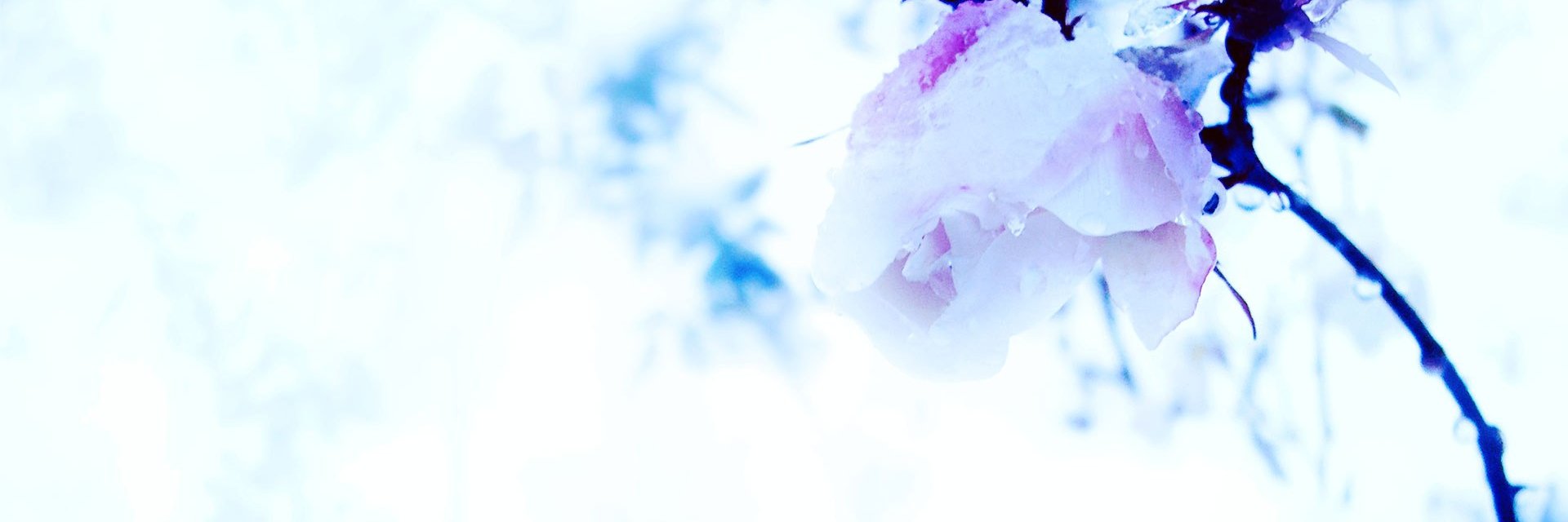 tallco's profile banner image