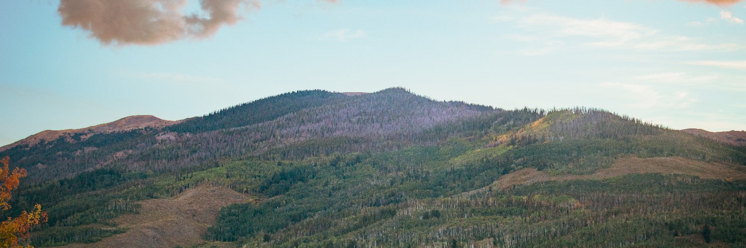 Caleb Meredith banner