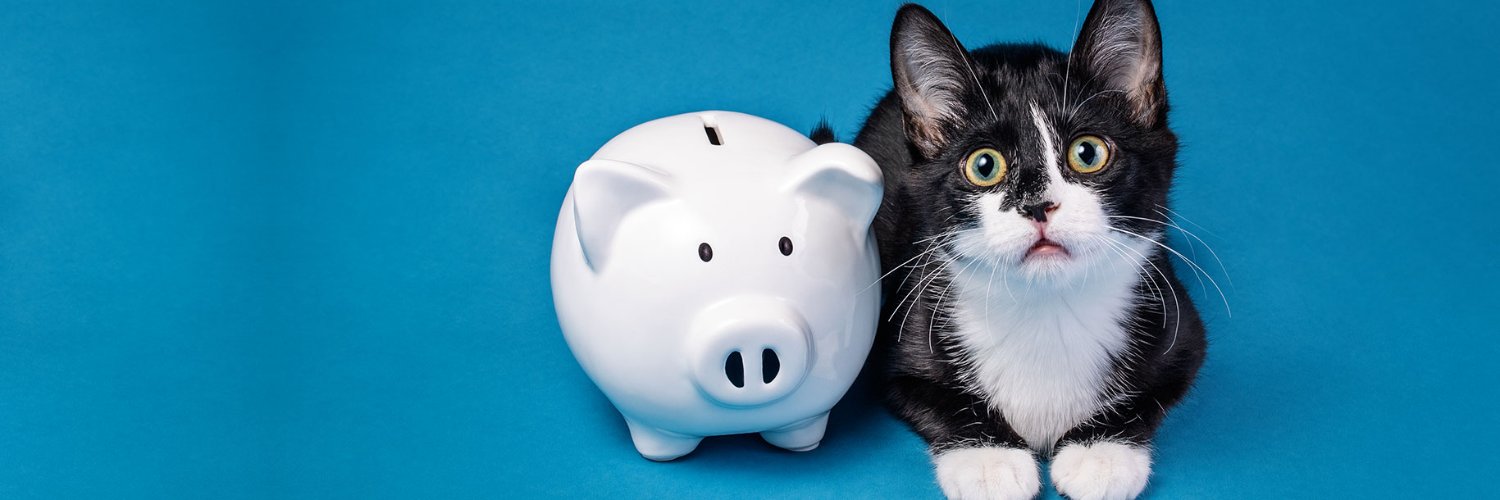 CatCryptoMoment's profile banner image