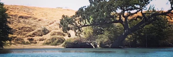 MonicaLVaughan Profile Banner