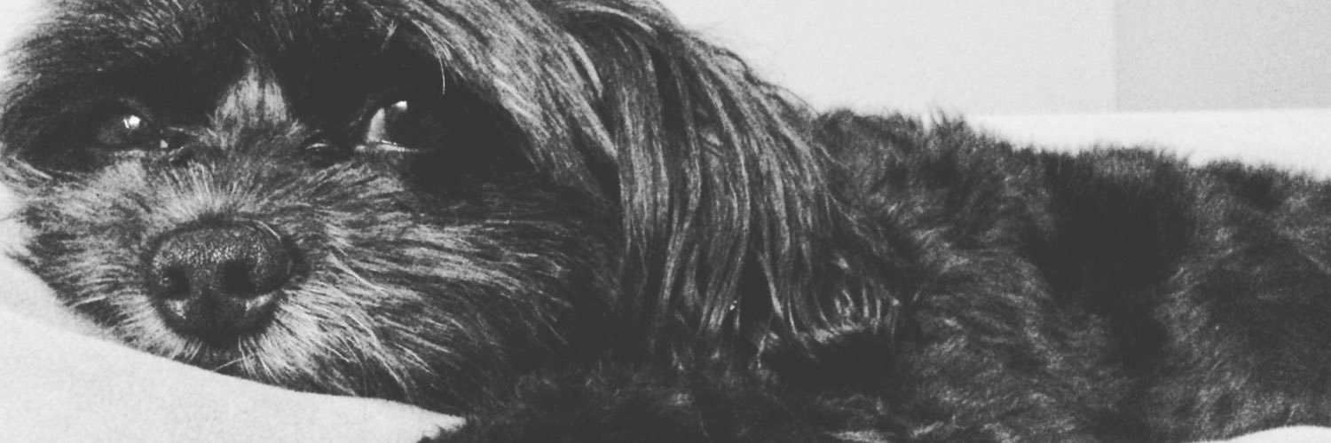 BrantK's profile banner image