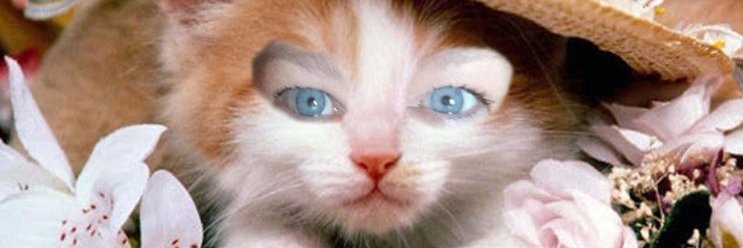 Lindylu100's profile banner image