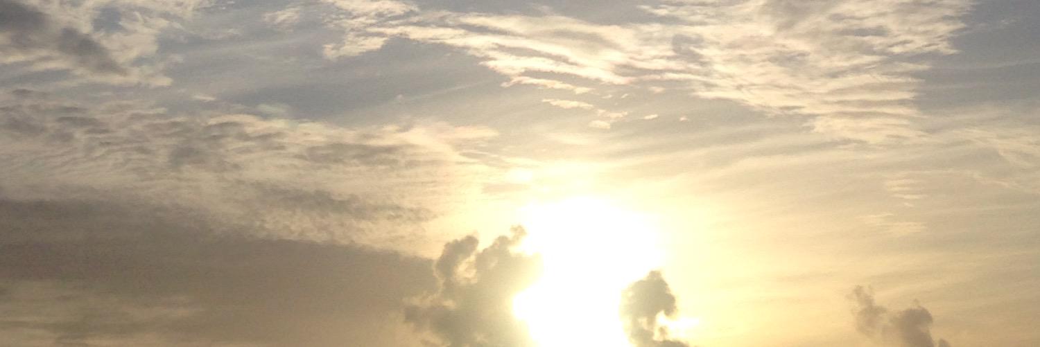 marifini's profile banner image