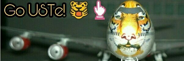 chinitonamoreno's profile banner image