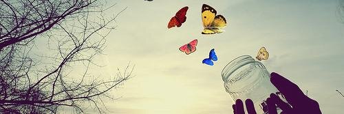 BiancaaTrindade's profile banner image