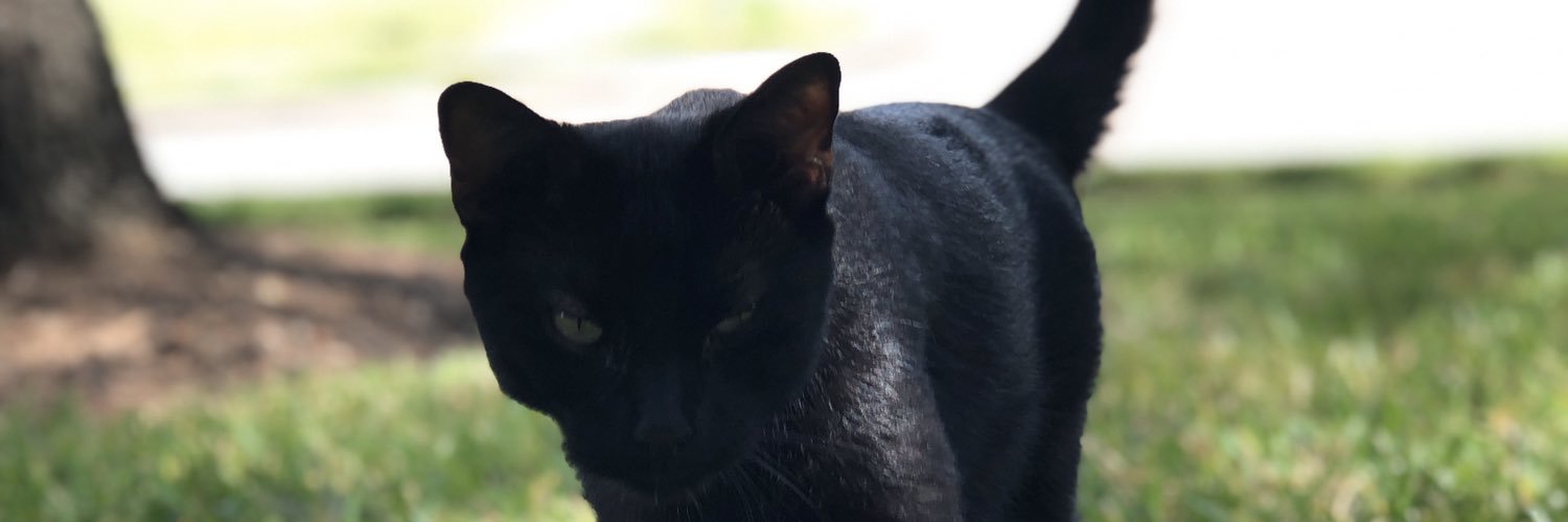 leighemel's profile banner image