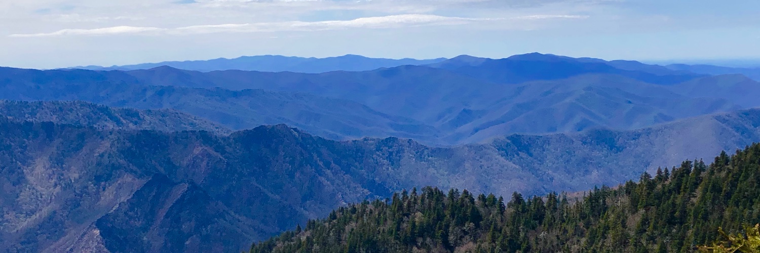 Mr.KaminskiMath banner