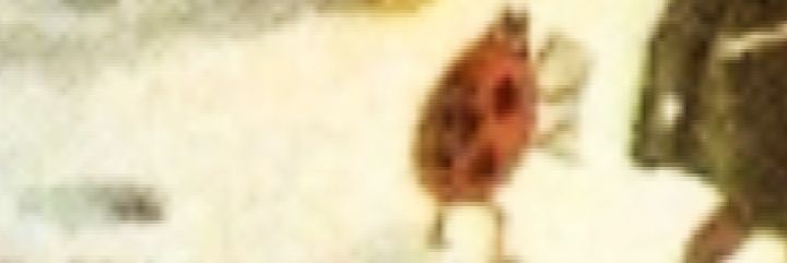 haplessperson's profile banner image