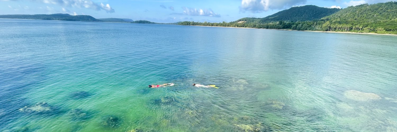 technologically advanced mermaid banner