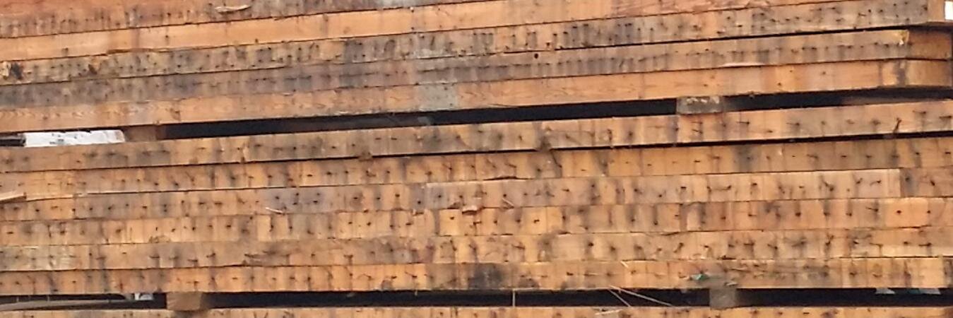 Eco Country Tables banner