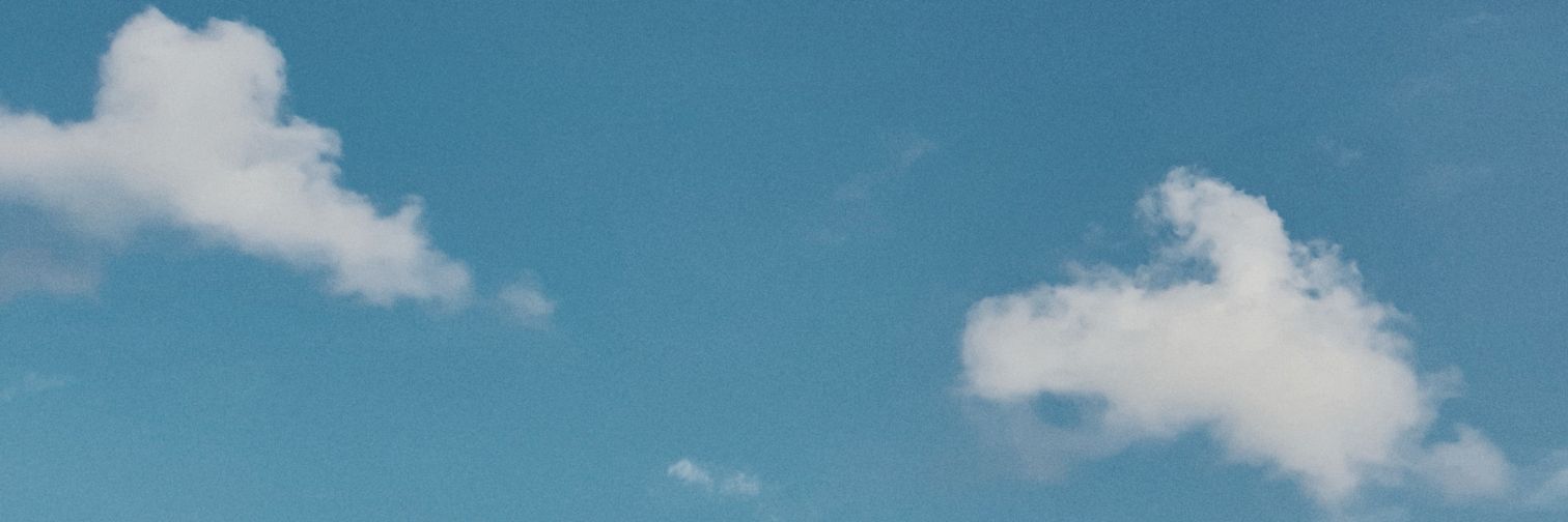 Maidemerve's profile banner image