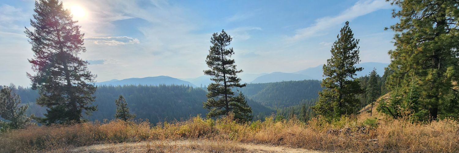 devydoo95's profile banner image