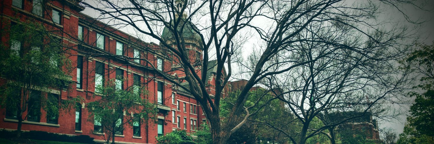 Muhammad Faateh banner