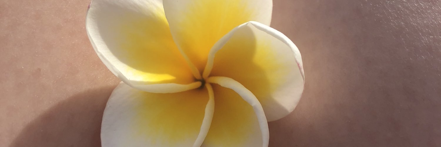 Leoraleboff's profile banner image