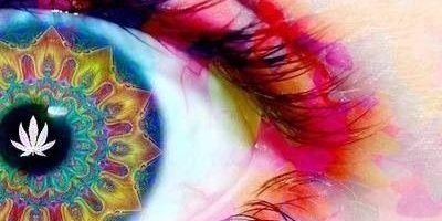 Sofiafdezz7's profile banner image
