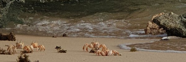 meroo24 Profile Banner
