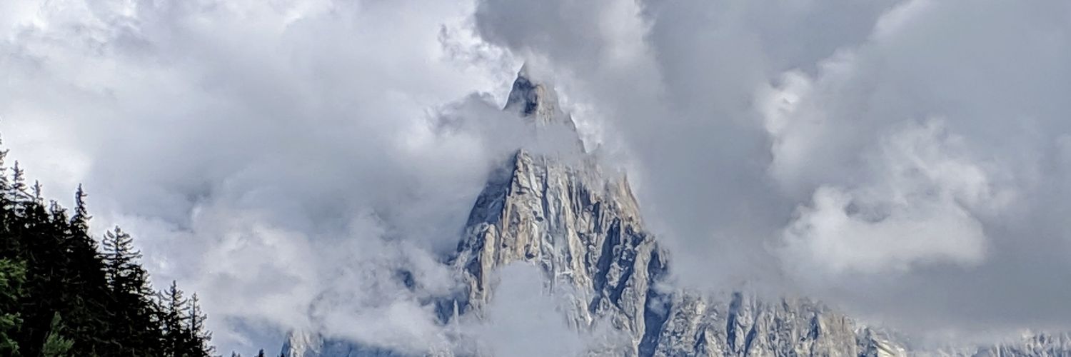 Yaryna Serkez 🇺🇦 banner