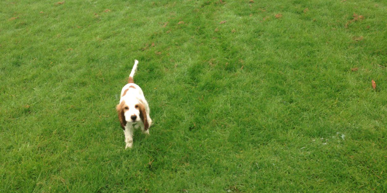 Bex_Owen's profile banner image
