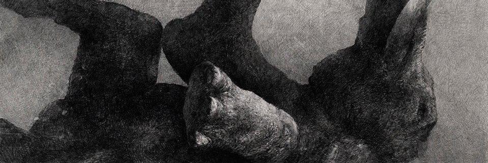 Rutfire's profile banner image