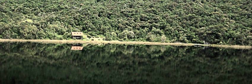 Burro Salgado banner