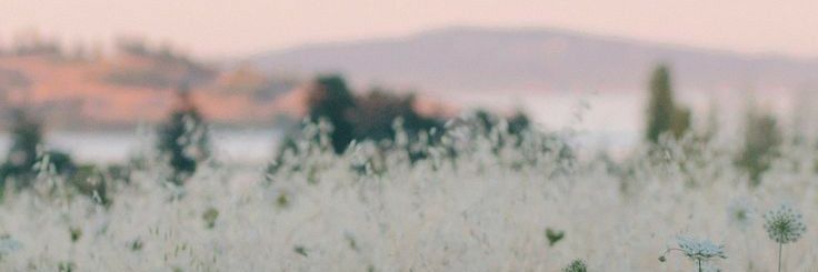 ivanypune's profile banner image