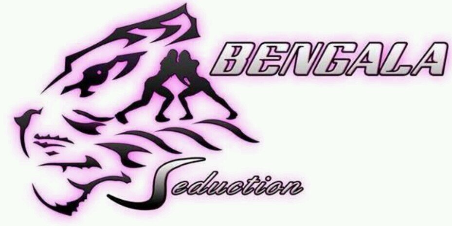 BengalasLIBF's profile banner image