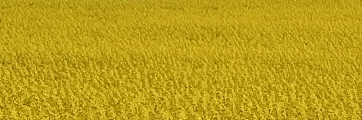 acoyic's profile banner image