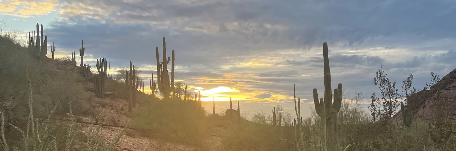 brookeschmitt_'s profile banner image