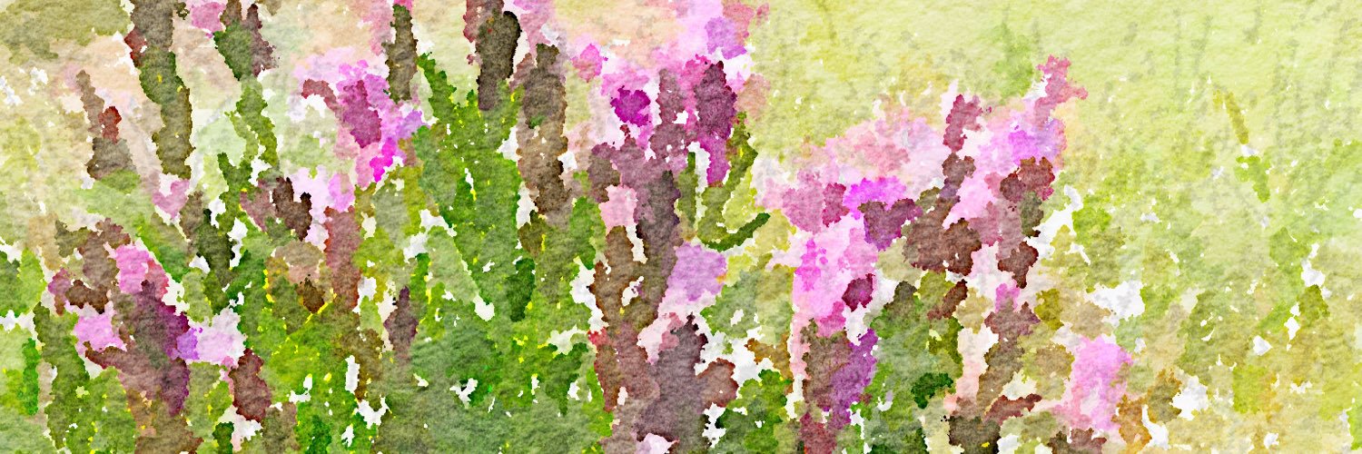 RLMeaden's profile banner image