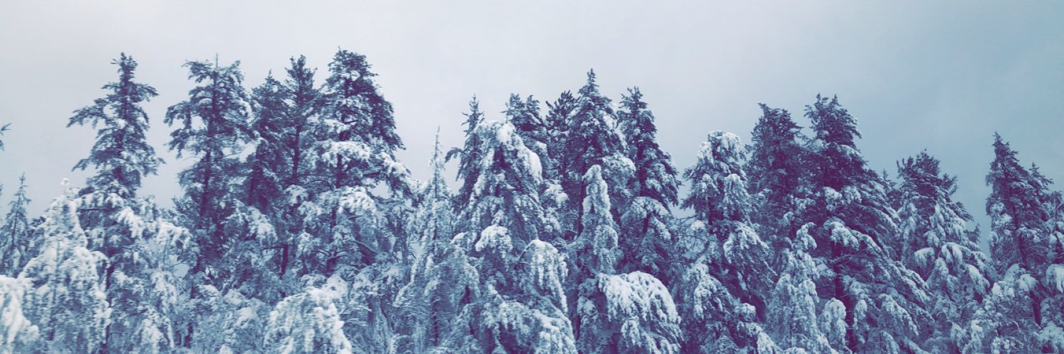 blulilyx's profile banner image