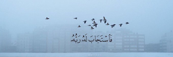 ltahanil's profile banner image