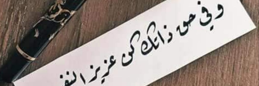 AlseedMostafa's profile banner image