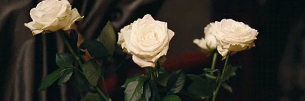 _Stephhh123's profile banner image