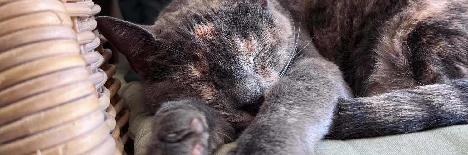 ANNA❣️ 🇿🇦 banner