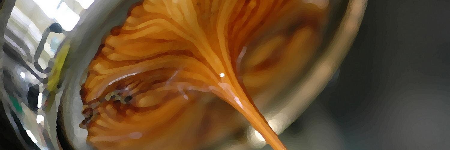 Crema Guru banner