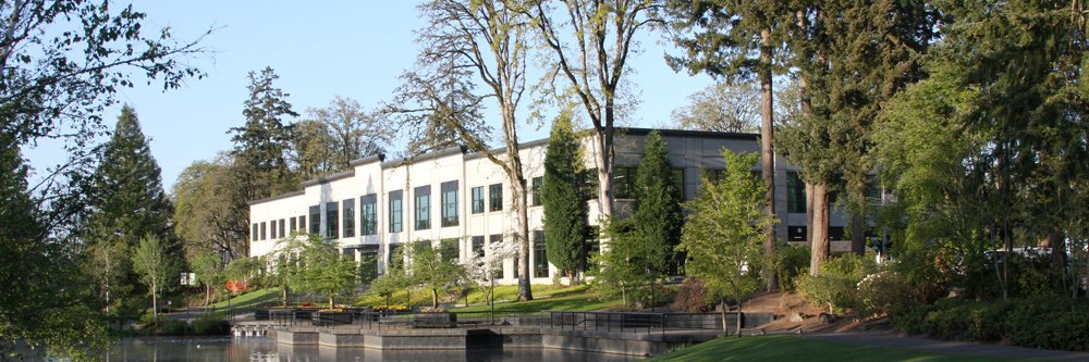 LibraryFound's profile banner image