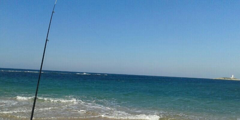 dariovallelado's profile banner image