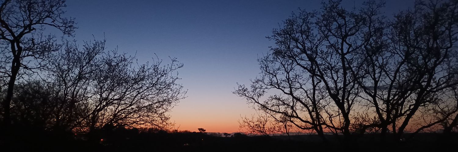namisticot's profile banner image