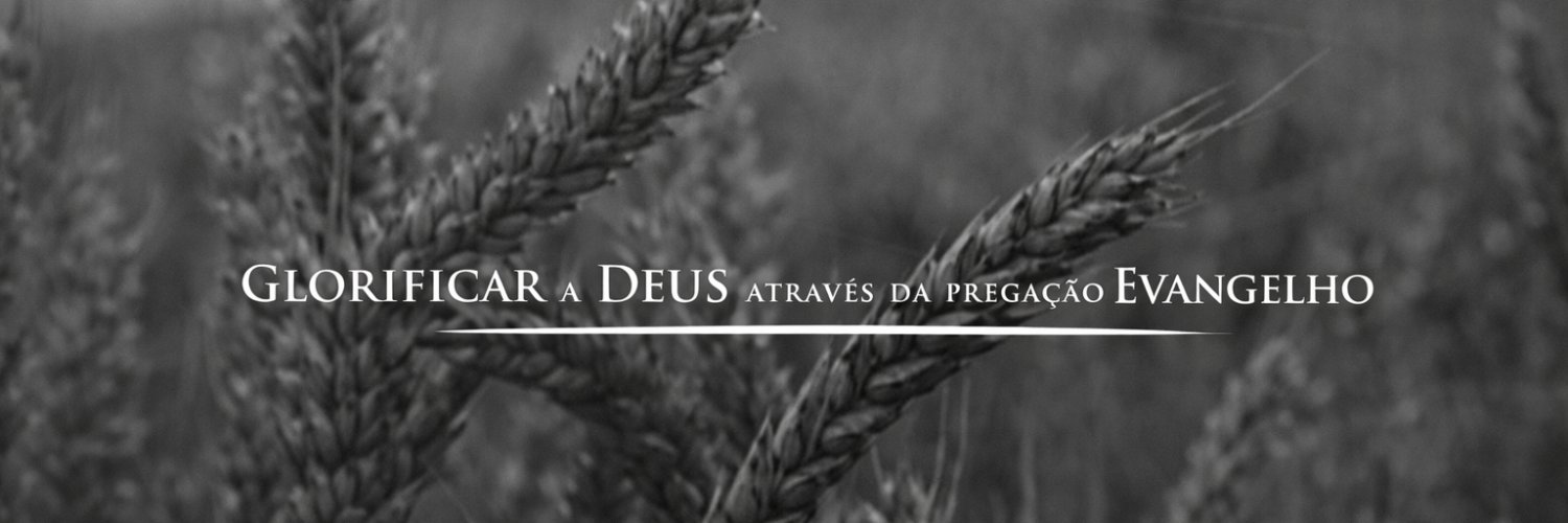 samuelbribeiro's profile banner image