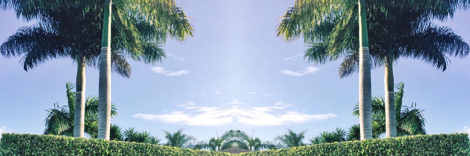 m_quinn6's profile banner image