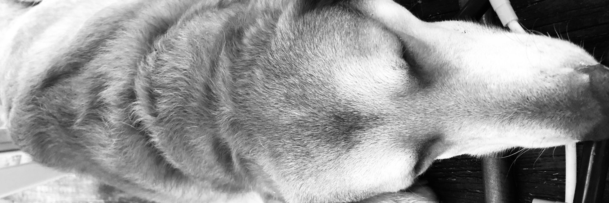 crybaker's profile banner image