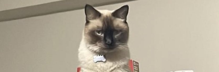 SallySantander's profile banner image