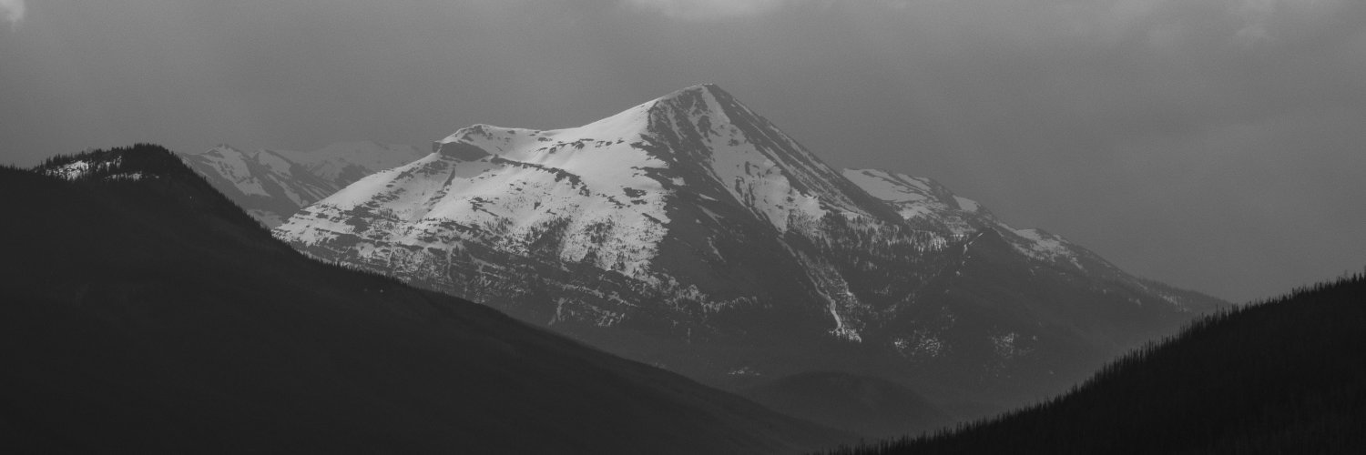 _maddymoo's profile banner image
