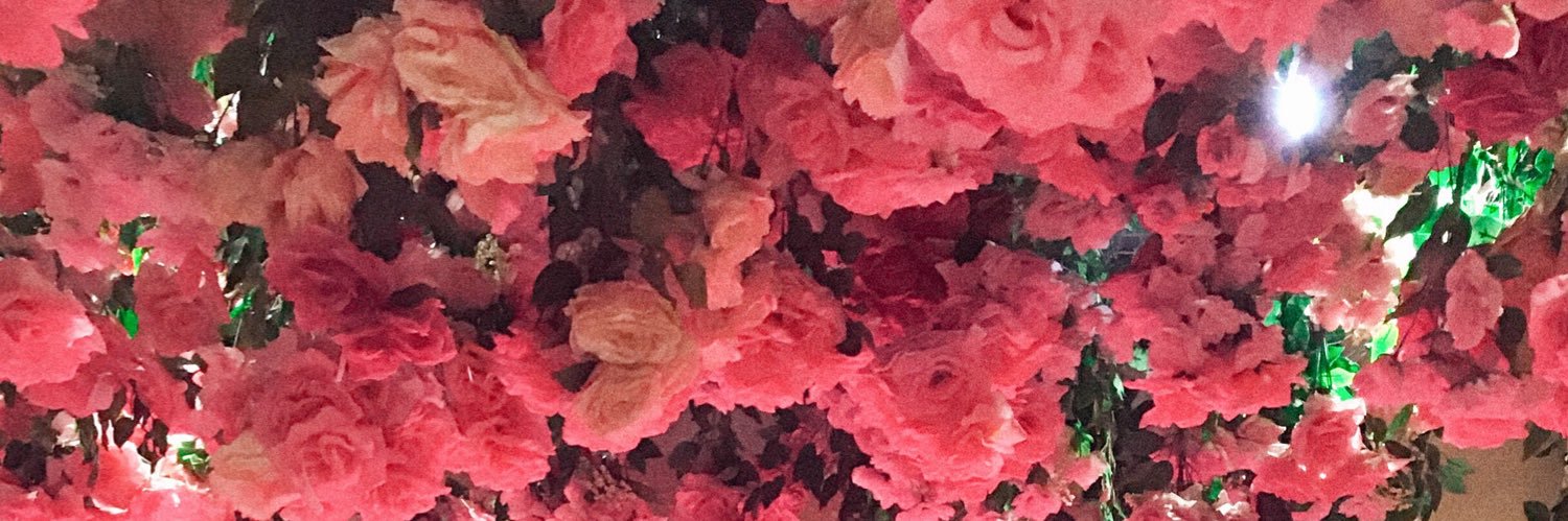 _erianaaa's profile banner image