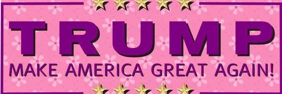summheartless's profile banner image