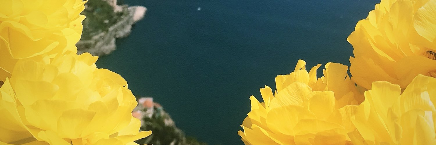 Zozo__ro's profile banner image