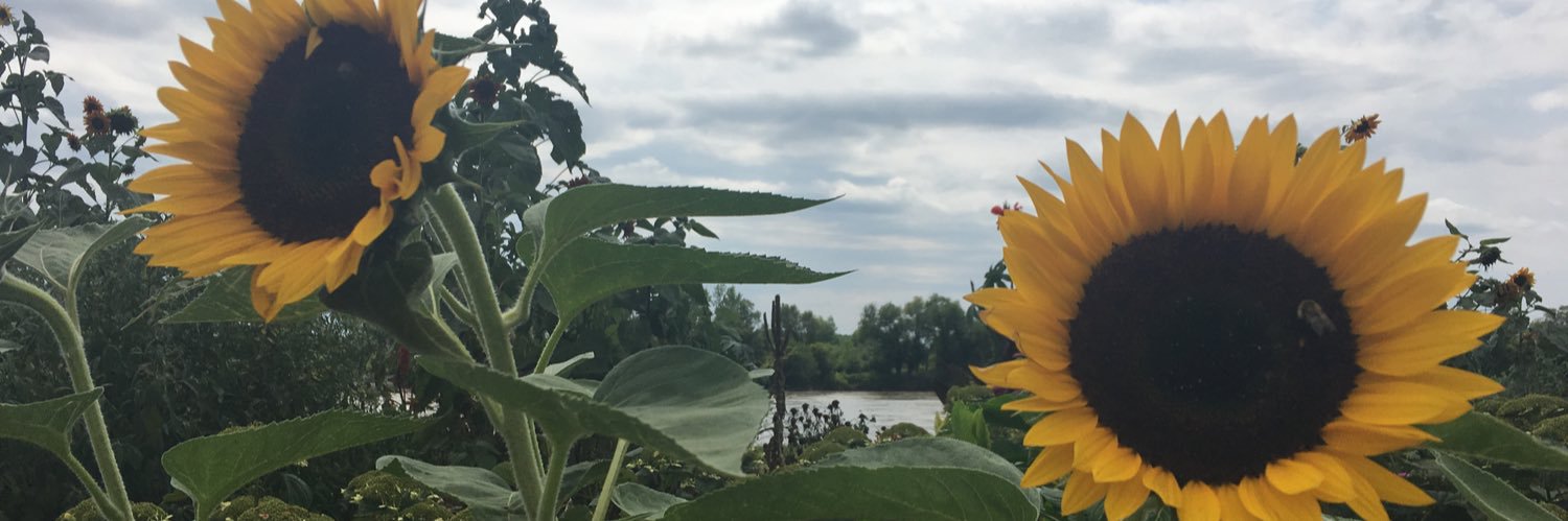 KayyyMac_'s profile banner image