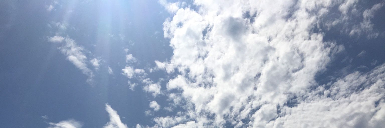 Mtrue22's profile banner image