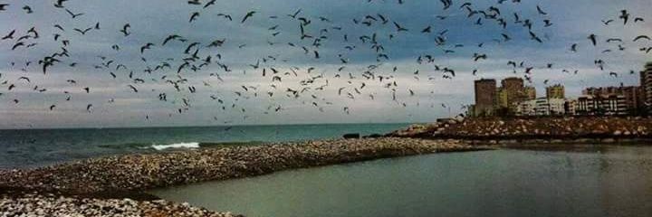 ural_ozlem's profile banner image